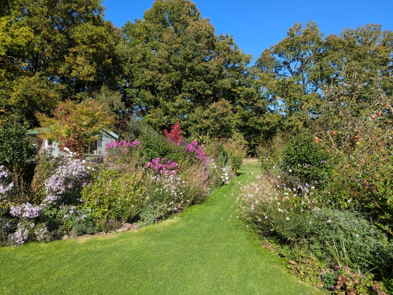 Black Shed Studios Garden